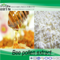 Broken bee pollen powder/bee milk powder/organic honey powder